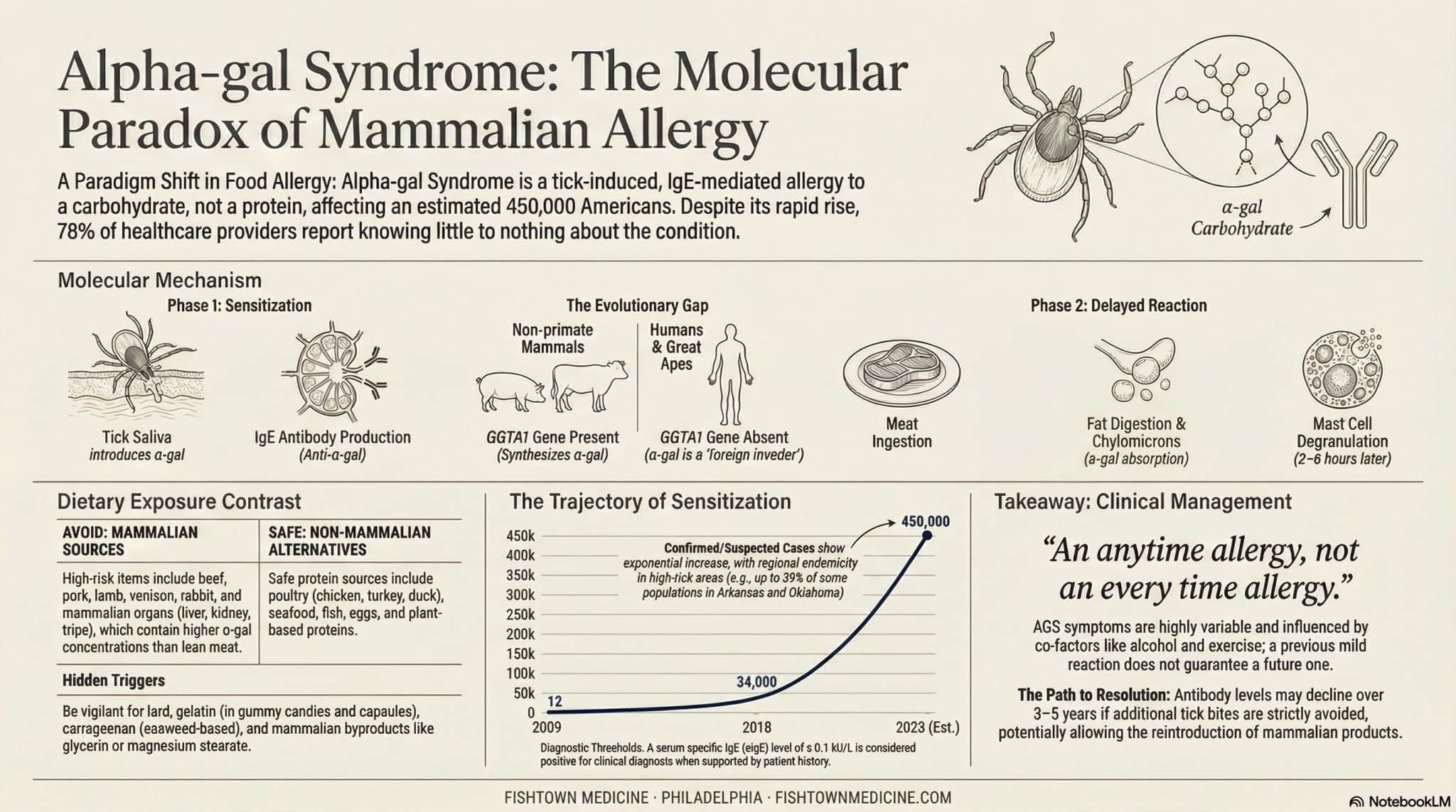 Alpha-Gal Syndrome: The Molecular Paradox of Mammalian Allergy, sensitization pathway, dietary exposure contrast, trajectory of cases, and clinical management summary.
